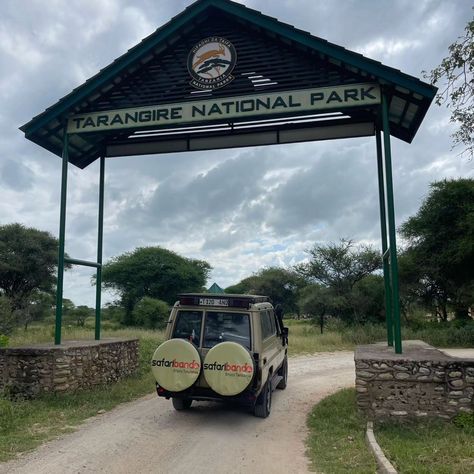 Hello @tarangire_national_park Tarangire National Park, Tanzania Safari, March 1, Tanzania, National Park, National Parks, On Instagram, Quick Saves, Instagram