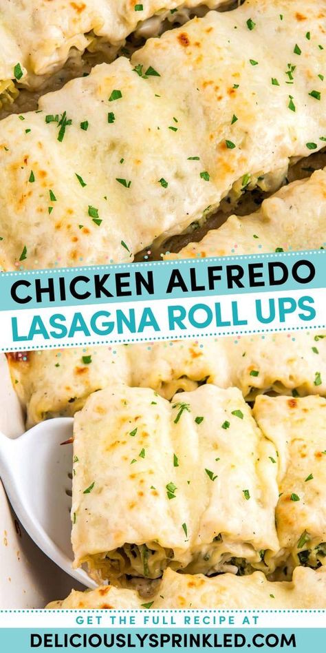 Try these chicken Alfredo roll ups! They're an easy dinner idea. Packed with shredded chicken and cheesy goodness in a creamy Alfredo sauce, this lasagna roll up recipe is a simple family meal you'll want to have again and again! Easy Lasagna Rolls, Chicken Alfredo Lasagna Roll Ups, Alfredo Lasagna Roll Ups, Lasagne Roll Ups, Chicken Lasagna Rolls, Tasteful Recipes, Salsa Alfredo, Chicken Alfredo Lasagna, Alfredo Lasagna