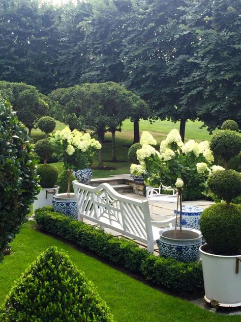 Glorious Gardens! Boxwood Landscaping, Country Garden Design, Garden Kids, Garden Modern, Hydrangea Garden, Formal Garden, Formal Gardens, Garden Bar, White Gardens