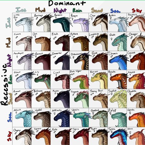 Wof Adopts, Dragon Chart, Wof Hybrids, Dragon Hybrid, Challenge Template, Nes Controller, Types Of Dragons, Creaturi Mitice, Fire Drawing