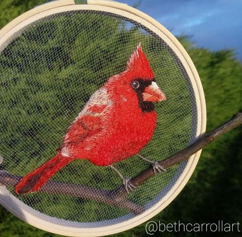 Cardinal Cardinal Embroidery, Embroidery Magic, Homes In Ireland, Writing Fantasy, Embroidered Bird, The Beauty Of Nature, Cardinal Birds, Thread Painting, Red Cardinal