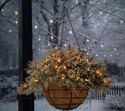 Fake it ‘Til You Make it (to Spring) Christmas Hanging Baskets, Cedar Plant, Plants In Baskets, Holiday Baskets, Battery Operated Led Lights, Warm White Led Lights, Winter Porch, Berry Baskets, Branch Decor