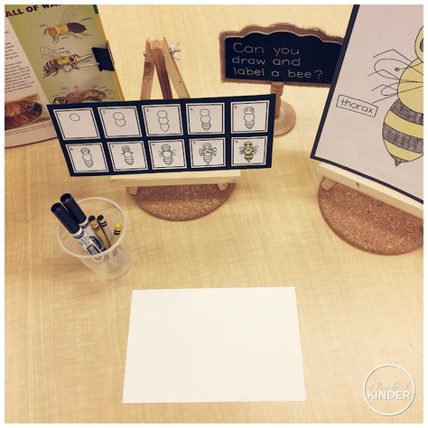 Kindergarten Inquiry, Science Inquiry, Bug Activities, Insects Preschool, Bee Activities, Bee Invitations, Inquiry Learning, Spring Kindergarten, Insects Theme