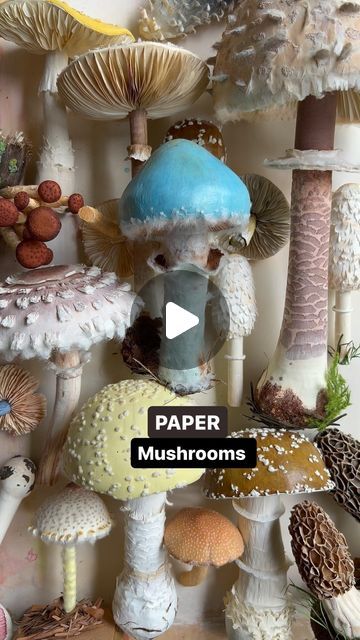 Ann Wood @Woodlucker/paper art on Instagram: "PAPER mushrooms…..fluffy handmade mushroom collection is growing!  #woodlucker #paperartist #paperart #imadethis #handmade #papermushroom #viral #viralreels #viralpost #reels #reelsinstagram #reelsvideo #explorepage #mushrooms #mushroomsofinstagram #ilovemushrooms #garden #gardenlifestyle #marthastewart #betterhomesandgardens #antiques #cottagecore #fluffy #botanical #botanicalart #botanicalillustration" Diy Mushrooms, Paper Mushrooms, Mushroom Diy, Mushroom Collection, Hobbit Party, Bizarre Magazine, Mache Art, Beautiful Bizarre, Mushroom Crafts