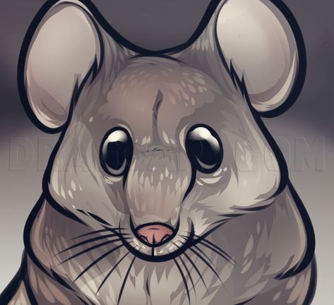 Who here wants to learn how to draw the cutest mouse face ever? I know, I know, some people think that mice are gross, and believe me I am one of thos Rat Face Drawing, Mouse Face Drawing, Face Step By Step, Nursery Rhyme Characters, Three Blind Mice, Creeped Out, Memorial Ideas, Sketching Ideas, Drawing Guide