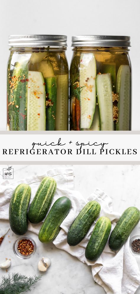 Spicy Refrigerator Pickles, Pickles Homemade, Refrigerator Dill Pickles, Refrigerator Pickles Dill, Dill Pickle Recipe, Appetizer Party, Spicy Pickles, Night Recipes, School Recipes