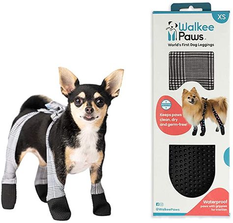 Boot Leggings, Dog Paw Protection, Dog Snow Boots, Meds For Dogs, Paw Protector, Dog Booties, Dog Leg, Cute Dogs Images, Animal Help