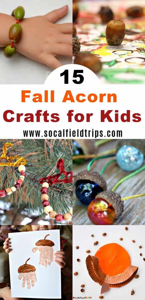 There’s just something about acorns that attract children. They like to collect as many as possible, put them in piles and make little acorn families out of them. So, if you’ve ended up with 5 pounds of acorns around your house like me, and aren’t sure what to do with them, check out this list of 15 Fun Fall Acorn Crafts for Kids! #fallcraft #kidscraft #preschoolcraft #toddlercraft #craft #diy #fall #autumn #kidscraft Diy With Acorns, Acorn Crafts For Kids Preschool, Crafts With Acorns For Kids, Acorn Art Projects For Kids, Acorn Crafts Preschool, Acorns Crafts, Acorn Crafts For Kids, Acorn Craft, Acorn House