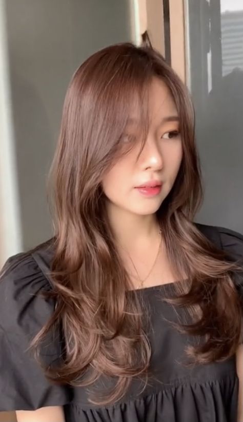 Soft Brown Hair Aesthetic, Cat Rambut Brown, Korean Hair Color Women, Dark Milk Tea Hair Color Asian, Korean Fall Hair Color, Asia Hair Colour, Spring Light Hair Color, Milky Brown Hair Korean, Chestnut Brown Hair Asian