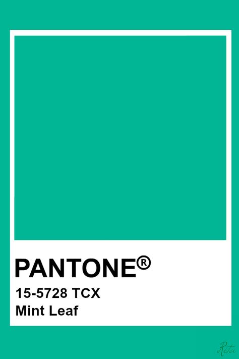 Pantone Mint Leaf Pantone Blue Turquoise, Teal Pantone, Pantone Turquoise, Warrior Fairy, Pantone Shades, Michelle Li, Pantone Tcx, Pantone Green, Pantone Colours