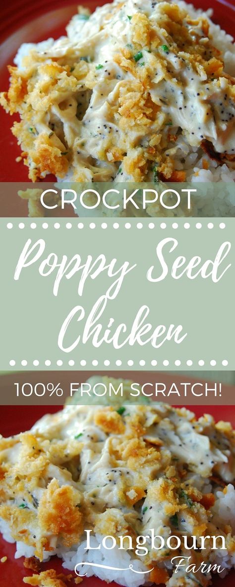 Homemade Poppy Seed Chicken is easy to make in the crockpot and so delicious! It is a comfort food classic the whole family will love. Poppyseed Chicken, Poppy Seed Chicken Casserole, Poppy Seed Chicken, Chicken Crockpot, Paleo Crockpot, Crock Pot Cooking, Poppy Seed, Chicken Crockpot Recipes, Pinterest Recipes