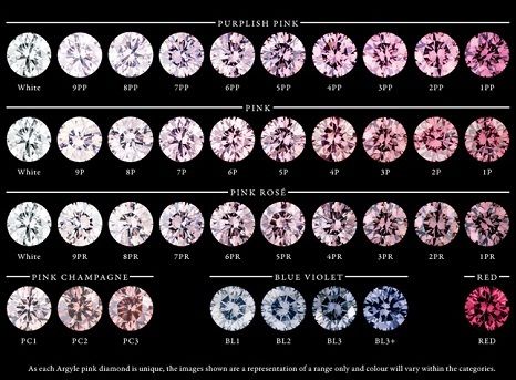 Argyle diamond mine color chart Argyle Diamond Ring, Diamond Color Chart, Diamond Chart, Rare Diamonds, Pink Diamond Engagement Ring, Jewellery Studio, Argyle Pink Diamonds, Pink Diamond Ring, Argyle Diamonds