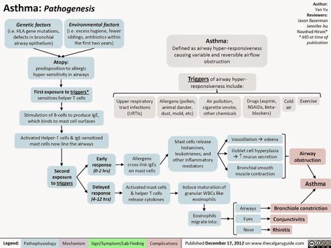 Asthma Pathophysiology, Learning Hacks, Med Notes, Forensic Pathology, Natural Asthma Remedies, Medical Notes, Asthma Remedies, Asthma Relief, Asthma Inhaler