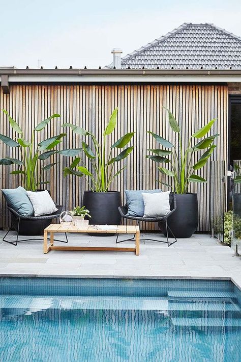 Tropical outdoor plants in modern Scandinavian patio area. Outdoor decor inspiration. Pool Goals, Pool Dekor, Kleiner Pool Design, White Pool, Pool Plants, Simple Pool, Pool Landscape Design, Small Pool Design, Backyard Pool Landscaping