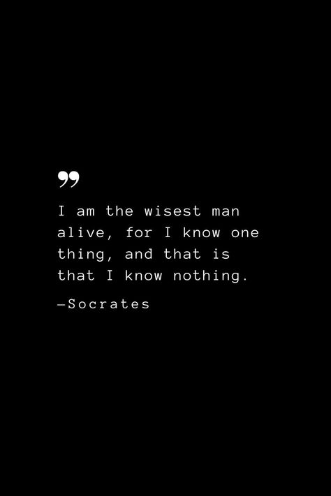 I Know That I Know Nothing Socrates, Check Quotes, Lion Gate, Words Of Courage, Socrates Quotes, Nietzsche Quotes, I Know Nothing, Teacher Quotes Inspirational, Western Philosophy