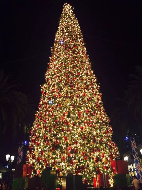 Christmas Tree Lighting Ceremony, Island Christmas, Fashion Island, Christmas Winter Wonderland, 30 November, Island Fashion, Christmas Memories, Christmas Memory, Tree Lighting