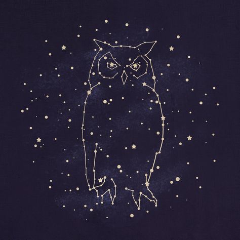 Constellation art Constellation Art, Standard Wallpaper, Popular Wallpaper, Owl Art, Passionate People, Accent Wallpaper, New Wall, Wallpaper Samples, Photo Wallpaper