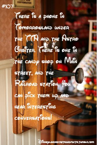 Disneyland Facts, Disney World Facts, World Facts, Disney Surprise, Disneyland Secrets, Disney World Secrets, Disney Secrets, Disneyland Tips, Disneyland Vacation