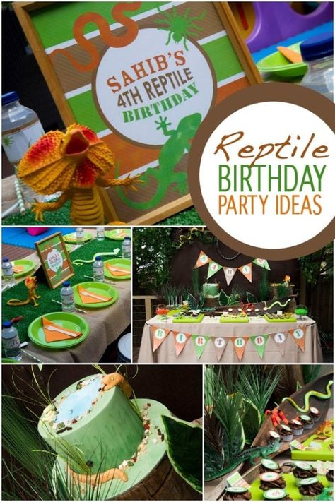 Reptile Birthday Party, Snake Birthday, Snake Party, Turtle Birthday Parties, Reptile Party, Jungle Thema, Spaceships And Laser Beams, Party Themes For Boys, Turtle Birthday