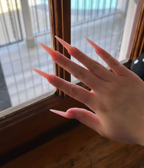 natural matte pink long stiletto nails young nails flamingo pink powder aesthetic nails inspo Pink Nails Sharp, Pink Acrylic Nails Pointy, Light Pink Pointy Nails, Light Pink Pointy Almond Nails, Powder Aesthetic, Soft Pink Stiletto Nails, Nails Flamingo, Pointed Nail Designs, Pink Stiletto Nails