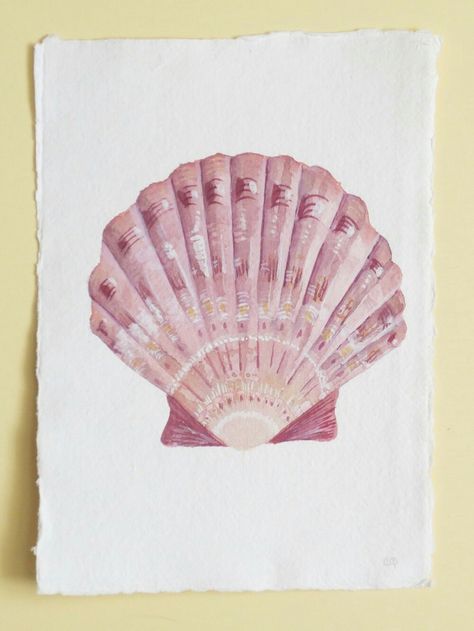 Seashell Drawing, Seashell Illustration, Shell Artwork, Scallop Seashell, Shell Drawing, Illustration Beach, Art Coquillage, Sea Life Art, Painting Ocean