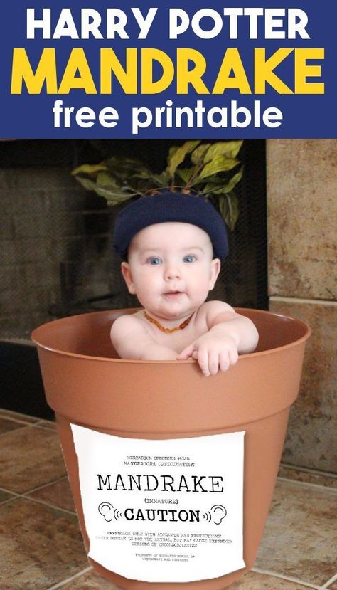 Harry Potter DIY Baby Mandrake Costume with a free printable sign. Perfect for a Professor Sprout and Mandrake costume Harry Potter mommy and baby matching Halloween costume set! Get the DIY Harry Potter Mandrake costume for babies! If you're looking for fun and easy family matching costume ideas, look no further. Check out how easy it can be and try it today! #HarryPotter #Costume #Baby #Mandrake #DIY #Printable #Halloween #forKids #MomLifeMadeEasy Diy Mandrake Harry Potter, Mandrake Costume, Diy Mandrake, Professor Sprout, Harry Potter Mandrake, Harry Potter Kostüm, Harry Potter Halloween Costumes, Diy Harry Potter, Easy Halloween Costume