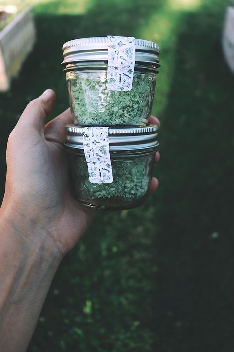 Herb Salt Recipe, Chives Recipe, Farm Flowers, Pickling Salt, Homemade Pantry, Foraged Food, Flavored Salts, Herb Recipes, No Salt Recipes