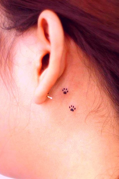 Small Tattoos About My Dog, Tattoo Ideas For Dogs Simple, Small Paw Print Tattoo Behind Ear, Paw Behind Ear Tattoo, Behind Ear Dog Tattoo, Small Paw Tattoos For Women, 3 Paws Tattoo, Behind Ear Tattoo Paw Print, Small Dog Paw Print Tattoo Ideas