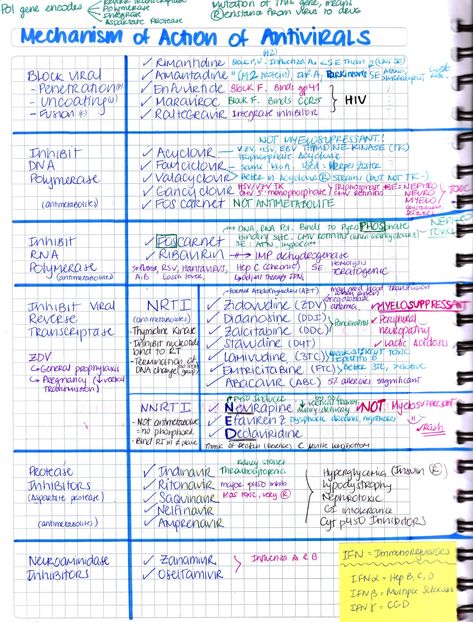 Microbiology Study, Usmle Step 1, Medical Graduate, College Nursing, Pharmacy Student, Pharmacy School, Pharmacology Nursing, Nursing School Studying, Nursing School Tips