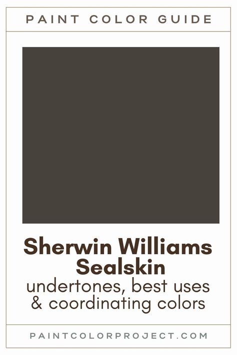 Looking for the perfect deep brown paint color? Let’s talk about Sherwin Williams Sealskin and if it might be perfect for your home! Black With Brown Undertones Paint, Darkest Brown Paint Color, Sherwin Williams Black Brown Paint, Sherwin Williams Backdrop Paint Color, Best Brown Black Paint Color, Dark Brown Gray Paint Colors, Brown Black Exterior Paint, Sherwin Williams Sealskin Color Palettes, Seal Skin Paint Color