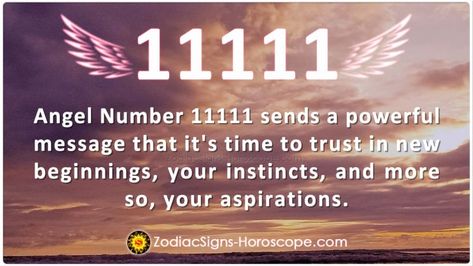 11111 Angel Number Meaning, 11111 Meaning, 11111 Angel Number, Numerology 111, Healing Numbers, Angel Number 666, 888 Angel, Angel Number 888, Mahavatar Babaji