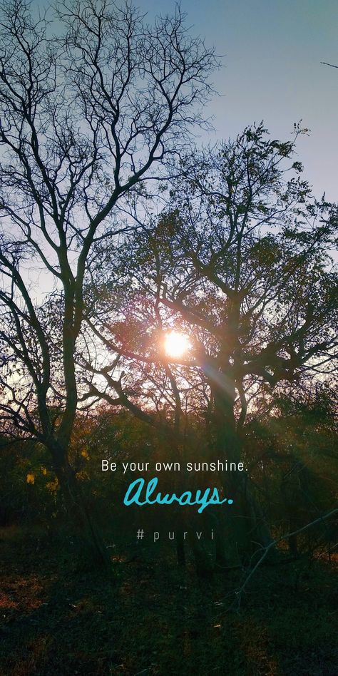 Quotes About Photography Short, Nature Quotes Beautiful, Quote Photography, Plant Quotes, Nature Photography Quotes, Snap Streaks, English Collocations, Sunset Quotes Instagram, Rain Quotes