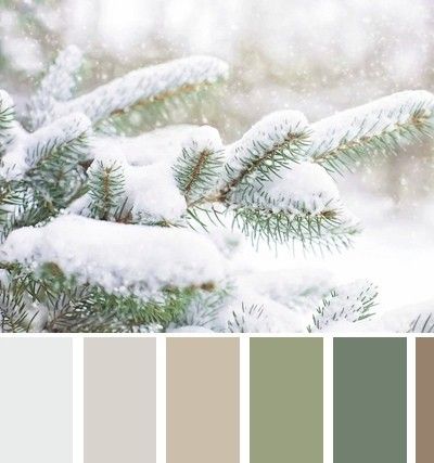 Spruce Color, Winter Colours, Drawing Desk, Color Catalog, Winter Colors, Colour Schemes, Color Pallets, Winter Decor, Colour Palette