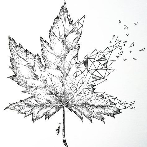 Geometrical maple leaf blackwork for tattoo design. Geometric Maple Leaf, Maple Leaf Tattoo Design, Fur Tattoo, Maple Tattoo, Maple Leaf Tattoos, Geometric Leaf, Leaf Coloring Page, Autumn Tattoo, Blackwork Designs