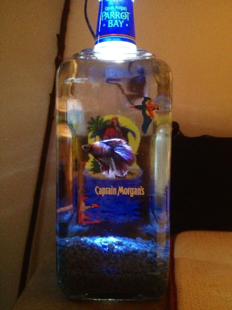 Bottle Fish, Cool Fish Tanks, Liquor Bottle Crafts, Fish Bowls, Fish Ideas, Betta Tank, Fish Tank Ideas, Aquarium Supplies, Betta Fish Tank