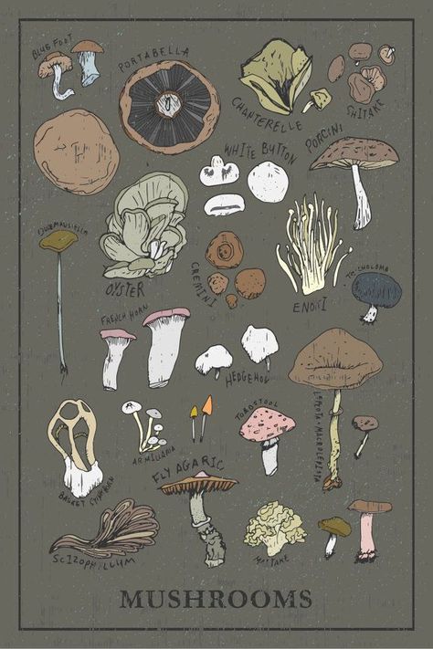 Collage Wall Vintage, Fairytale Room, Mushroom Poster, Grunge Posters, Mushroom Pictures, Mushroom Drawing, Hippy Room, Dark Underarms, Sketchbook Drawings