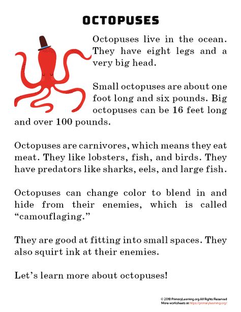 In this non-fiction passage, students learn about the octopus. Where does the octopus live? What does octopus eat? How does octopus look like? Octopus reading passage has around 100 words. Each line has around 30 characters and wide spacing for easy reading and comprehension. After reading students encourage to find out Octopus Reading, Reading Comprehension For Kids, Reading Comprehension Kindergarten, English Stories For Kids, English Short Stories, Reading Comprehension Lessons, Learning English For Kids, Short Stories For Kids, Kids English