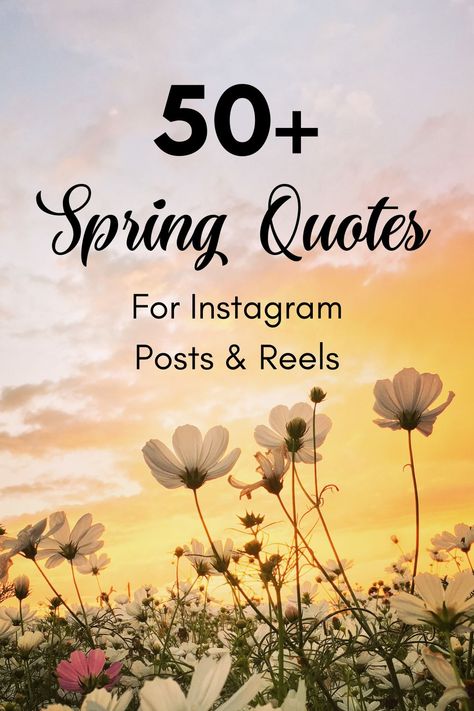 50-plus Spring quotes for Instagram posts and reels. Spring Growth Quotes, Spring Time Quotes Inspiration, Spring Phrases Quotes, Spring Quotes Inspirational Life, Springtime Quotes Inspiration, Happy Spring Quotes Inspiration, Spring Quotes Aesthetic Short, April Quotes Spring, Quotes About Spring And New Beginnings