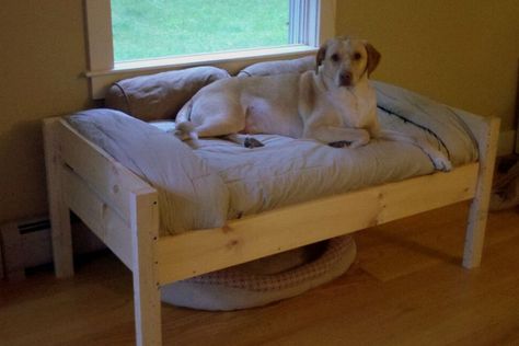 Diy End Of Bed Dog Bed, Diy Dog Bench Window Seats, Dog Day Bed Diy, Diy Dog Platform Bed, Diy Wood Dog Bed Platform, Crib Mattress Dog Bed Diy, Diy Bed Extension For Dog, Diy Elevated Dog Beds For Large Dogs, Dog Window Bench