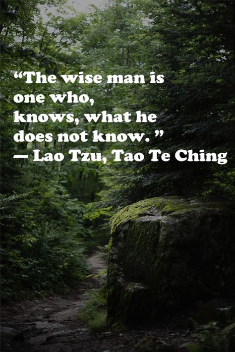 Daoism Quotes, Lao Tzu Quotes Wisdom, Famous Philosophy Quotes, Taoism Quotes, Lao Tsu, Madea Funny Quotes, Simple Life Quotes, Lao Tzu Quotes, Stoicism Quotes