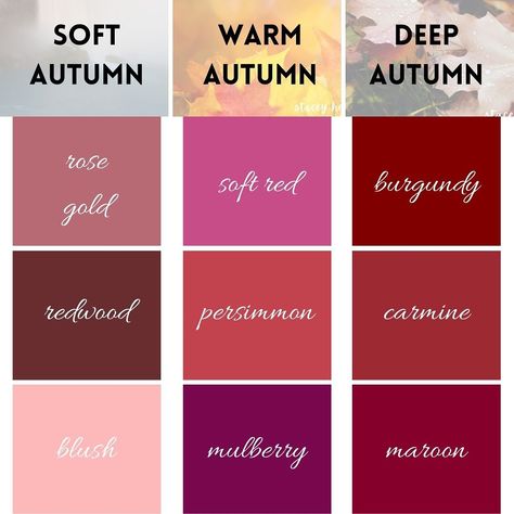 THE PERFECT pink 🩷🩷 Comment “SCG” to find the perfect pink for your season. 🌷Spring pinks are warm, light, and bright 🌞Summer pinks are cool, light, and muted 🍁Autumn pinks are warm, deep, and soft ❄️Winter pinks are cool, dark, and bright Comment “SCG” to learn more about your perfect pink. #pink #pinkpinkpink #pinkaesthetic #pinkfashion #pinkstyle #clearspring #clearwinter #brightspring #brightwinter #warmspring #truespring #warmautumn #trueautumn #lightspring #lightsummer #coolsummer #... Dark Autumn Pink, Deep Autumn Makeup, Deep Autumn Palette, Soft Autumn Deep, Autumn Color Palette Fashion, Muted Autumn, Deep Autumn Color Palette, Soft Autumn Color Palette, Bright Autumn