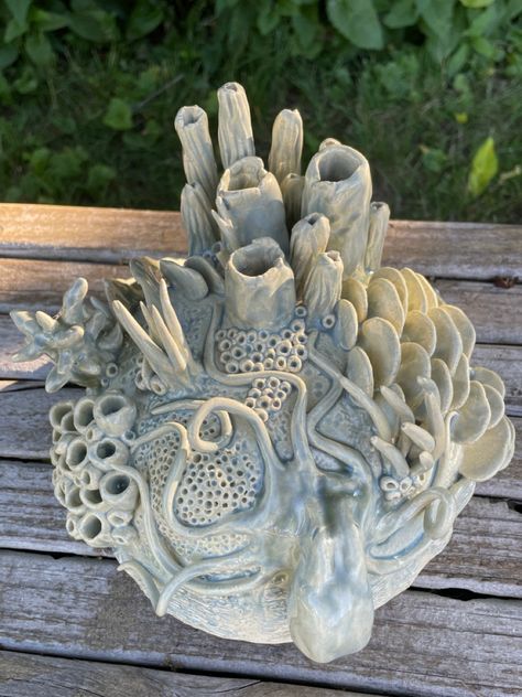 Clay Coral Reef Sculpture, Coral Reef Ceramic Sculpture, Coral Pottery Ideas, Pottery Coral Reef, Clay Natural Forms, Ocean Sculpture Ideas, Ceramic Nature Sculpture, Sea Turtle Sculpture, Ceramic Sea Shell