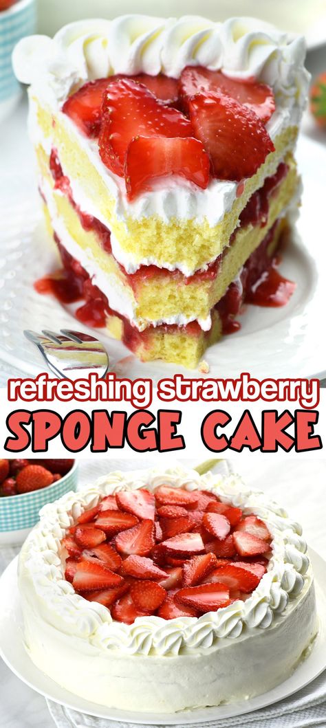 Strawberry Sponge Cake is light and refreshing summertime dessert. Fluffy, moist, spongy cake base, made with just 4 ingredients, strawberry filling and whipped cream cheese frosting are the perfect combination of textures and flavors. #strawberrycake #summerdessert #baking
#spongecake via @https://www.pinterest.com/omgchocodessets/ Sponge Cake Frosting, Strawberry Torte Cake, Strawberry Seismic Cake, Flavored Cakes, Strawberries And Cream Cake, Moist Lemon Cake Recipe, Indulgent Recipes, Strawberry Sponge Cake, Bake Ideas