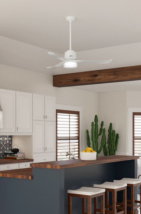 Here’s What You Need From a Kitchen Ceiling Fan - Decorology Fan In Kitchen, Kitchen Ceiling Fan, Fan Kitchen, Kitchen Fan, Ceiling Fan Bedroom, Tiny House Inspiration, Kitchen Ceiling, Modern Ceiling Fan, Oak Cabinets