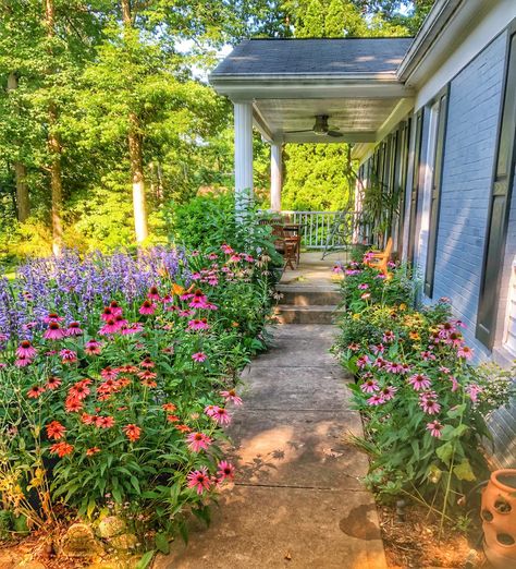 Zinnia Garden, Cottage Garden Design, Day Lilies, Cut Flower Garden, Casa Exterior, Wildflower Garden, Pollinator Garden, Garden Yard Ideas, Back Door