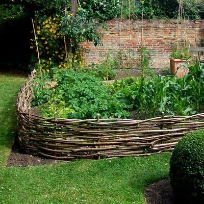 Fence Woven Branches for vegetable garden Cerca Natural, Wattle Fence, Plantarea Legumelor, Natural Fence, Diy Raised Garden, Raised Garden Beds Diy, Have Inspiration, Garden Stuff, Garden Fencing