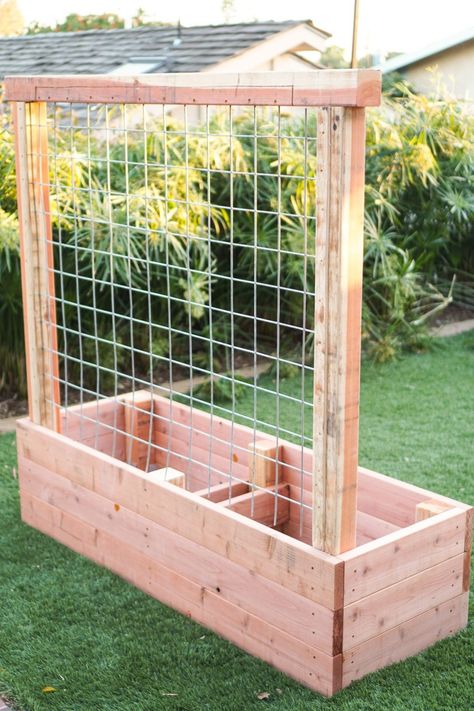 Pot Gantung, Planter Box With Trellis, Raised Planter Beds, Planter Beds, Garden Planter Boxes, Diy Trellis, Diy Raised Garden, Raised Garden Beds Diy, Backyard Pools