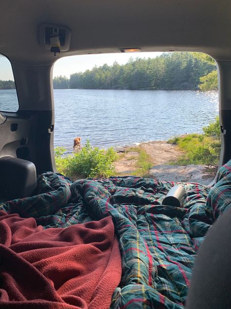 Rav4 Conversion, Car Camping Aesthetic, Backseat Bed, Camp Living, Living In Car, Bus Living, Orange Trees, Road Trip Car, Camping Aesthetic