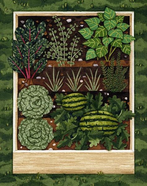 Raised Vegetable Beds, Vegetable Beds, Tattoo Plant, Vegetable Beds Raised, Vegetable Patch, Garden Mural, Vegetable Illustration, Vegetable Garden Raised Beds, Victory Garden