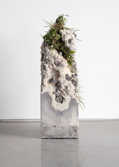 Terraforms 2014 on Behance Jamie North, Moss Growing, Decoration Beton, Beton Design, Concrete Sculpture, Australian Plants, Concrete Art, 수채화 그림, Plant Species